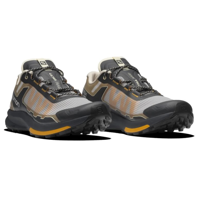 Black / Grey / Brown Salomon Ultra Raid Men's Sneakers | PH 09426G